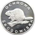 zdjęcie główne