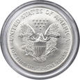 USA, 1 dolar 2000 - wersja malowana, rzadka