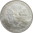 USA, 1 dolar 2010 Walking Liberty 3