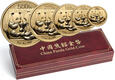 Chiny, zestaw, 500, 200, 100, 50 i 20 yuan 2009, Panda, 1,9 Oz Au999
