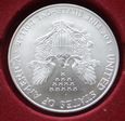 USA - Liberty - Orzeł 1996 - 1 oz Ag 999