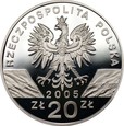 20 złotych 2005 - Puchacz