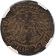 Zakon Krzyżacki - grosz 1519 - Albrecht Hohenzollern 