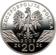 20 złotych 2009 - Jaszczurka Zielona