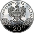 20 złotych 2003 - Węgorz Europejski 