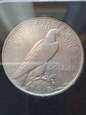 USA Dollar Peace 1922 r   stan 3      P/3
