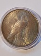 USA Dollar Peace 1923 r   stan 2+    T8/20