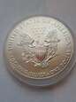 USA Dollar Liberty 2013 r stan 1-    T8/55