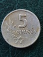 5 groszy  1960 rok stan 3    M/POL
