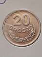 20 Groszy  1949 r stan 1      K5/4
