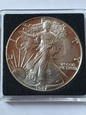 USA - Dollar Liberty 1987 r stan  1- T6/51