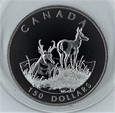 Kanada - 150 $ 2000 Widłoróg amerykański 1/2 Oz. platyna