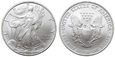 1 Dolar (2006) American Eagle 1 OZ