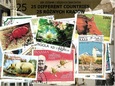 Zestaw 25 znaczków pocztowych - 25 RÓŻNYCH KRAJÓW