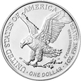 Amerykański Orzeł - America Eagle - 1 uncja - Srebro - 2021