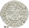 PGNUM - Półgrosz (1/2 grosza) 1556, mennica Wilno. PCGS MS 63