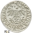 PGNUM - Półgrosz (1/2 grosza) 1558, mennica Wilno. PCGS MS 63