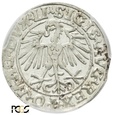 PGNUM - Półgrosz (1/2 grosza) 1548, mennica Wilno. PCGS MS 62