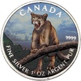 PGNUM - Kanada 5 dolarów 2012, puma - kolorowa emalia