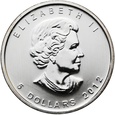 PGNUM - Kanada 5 dolarów 2012, puma - kolorowa emalia