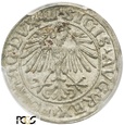 PGNUM - Półgrosz (1/2 grosza) 1548, mennica Wilno. PCGS MS 63
