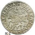 PGNUM - Półgrosz (1/2 grosza) 1553, mennica Wilno. PCGS MS 62