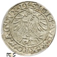 PGNUM - Półgrosz (1/2 grosza) 1553, mennica Wilno. PCGS MS 62