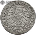 Zygmunt I Stary, grosz 1533, Toruń, st. 3/3+, #WO