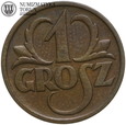 II RP, 1 grosz 1936, st. 2+