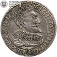 Zygmunt III Waza, szóstak 1596, Malbork, #FT