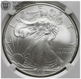 USA, 1 dolar 2010, Eagle, NGC MS69, #DK