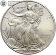 USA, 1 dolar 2009, Liberty, 1 Oz, Ag999