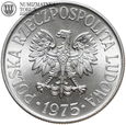 PRL, 50 groszy 1975