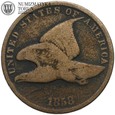 USA, 1 cent 1858, st. 4, #DR