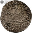 Zygmunt II August, półgrosz 1556, Wilno, #RR