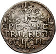 Zygmunt III Waza, trojak 1621, Kraków, #JB