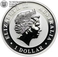 Australia, 1 dolar 2013, Kookaburra, 1 Oz, Ag999