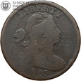 USA, cent, 1803 rok, Draped Bust