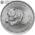 Kanada, 5 dolarów 2019, Niedźwiedź, 1 Oz Ag999