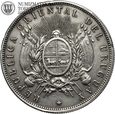 Urugwaj, 1 peso 1893