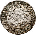 Zygmunt II August, półgrosz 1559, Wilno, #JB