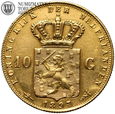 Holandia, 10 guldenów 1897, złoto