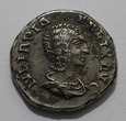 DENAR - JULIA DOMNA 211 – 217r (SUBERATUS)