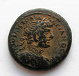 BRĄZ AE20 - Hadrian (117 – 138) - Antiochia nad Orontes