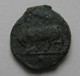 Brąz Grecja - Sycylia - Gela  (420 - 405 p.n.e.)