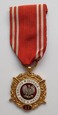 Medal - Siły Zbrojne w Służbie Ojczyzny (XX) - Złoty