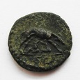 AE-QUADRANS z czasów Hadriana i Antoninusa Piusa - Wilczyca