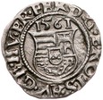 D50. Wegry, Denar 1561, Ferd I, st 2-