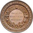Medal z 1887, Wystawa Rolnicza i Przemysłowa w Krakowie