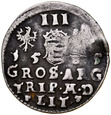 E152. Trojak litewski 1585, Batory, st 3